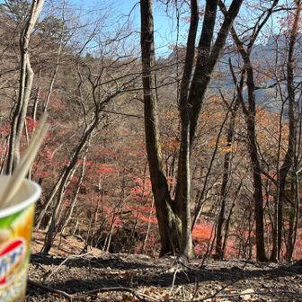 ここでゆったりお昼タイム🕛