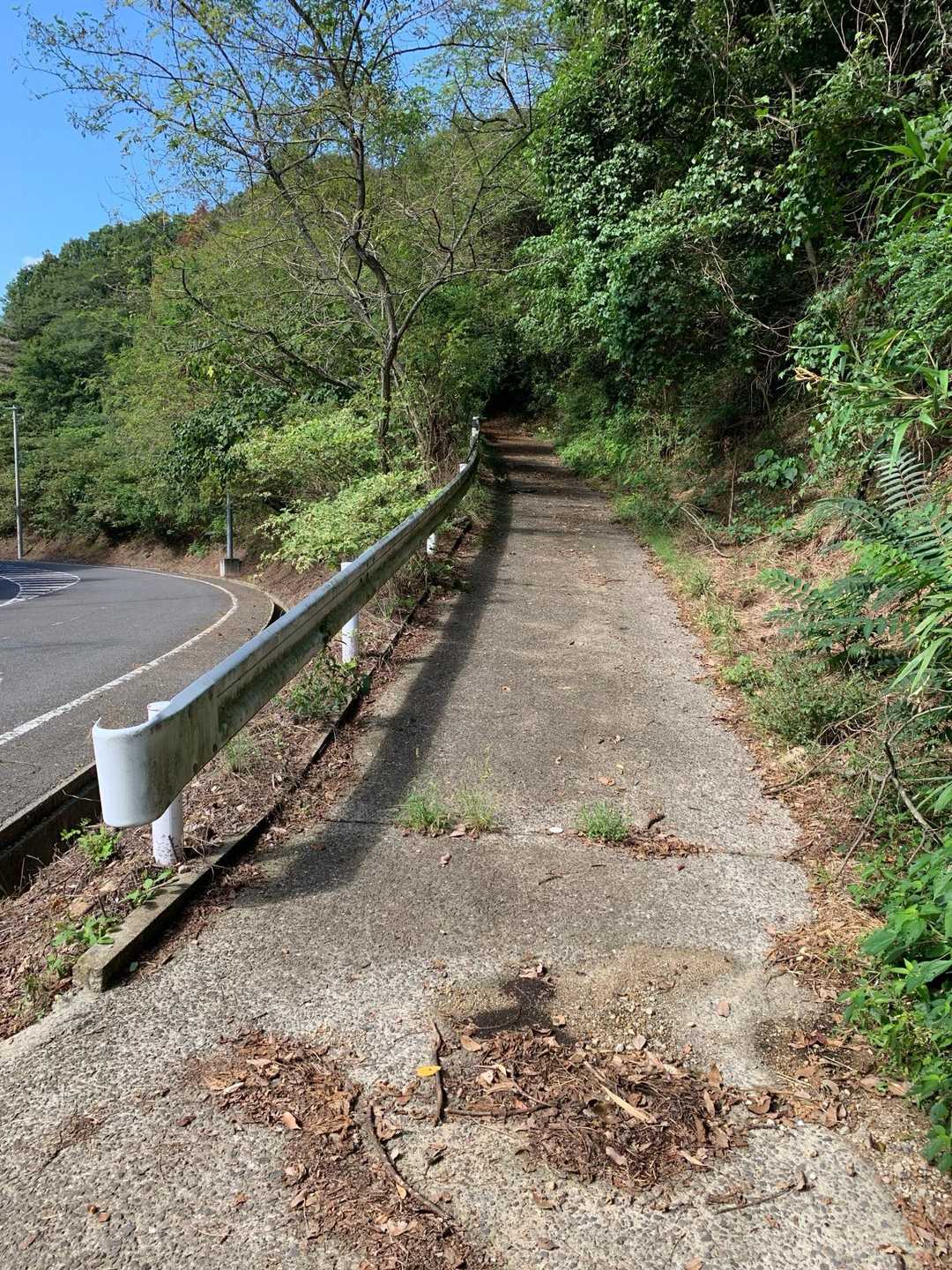 登山口
