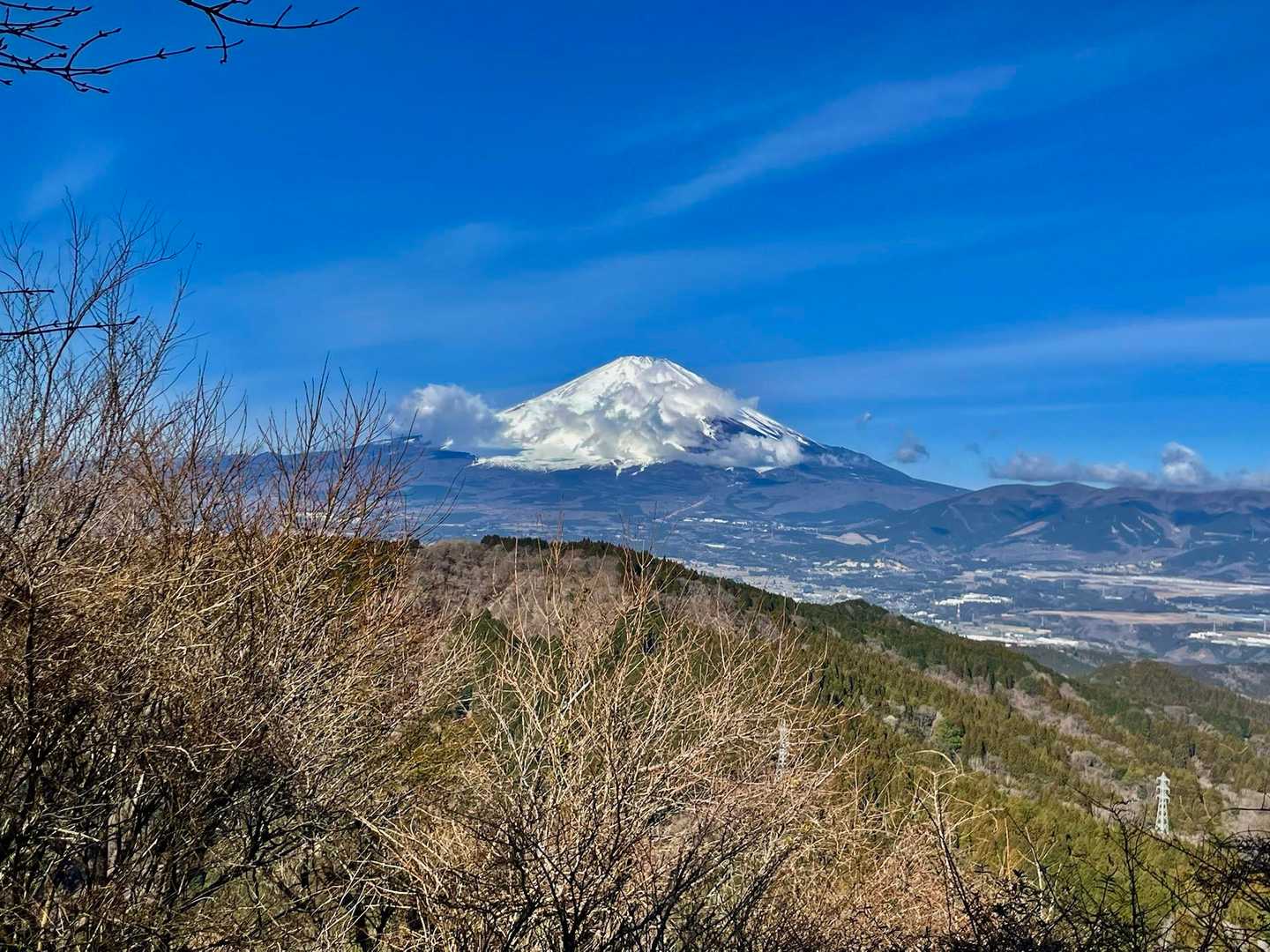 ほらね〜　　　　こんにちは〜　　富士山🗻
上の方　真っ白　　　カッケ〜