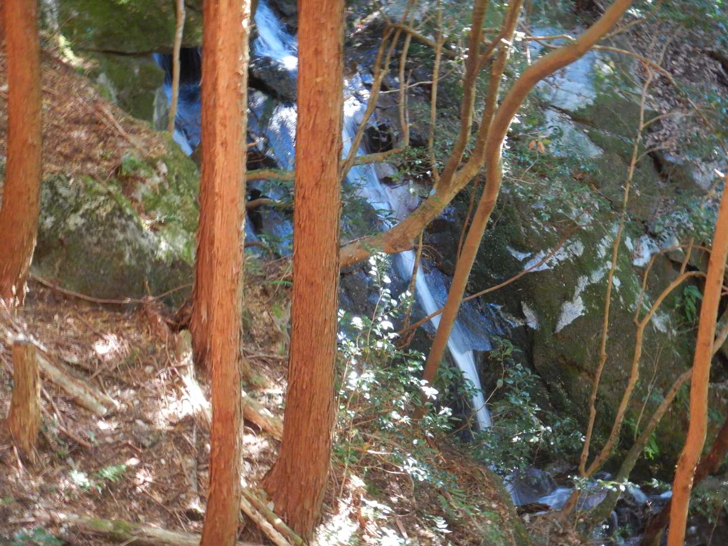 渓流に滝あり