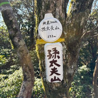 グレーピーク⛰️