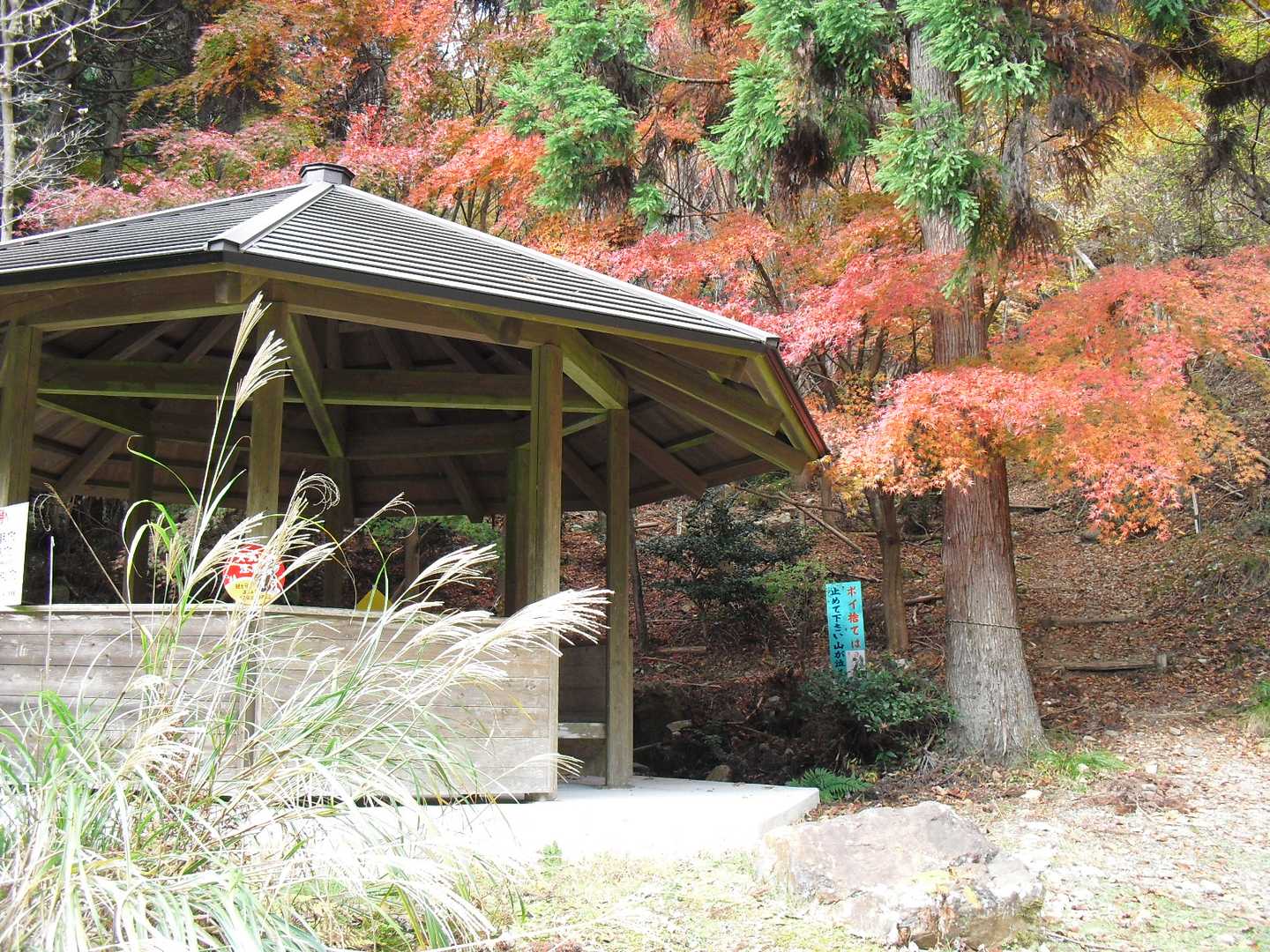 東屋がありました。ここから登山道です。
