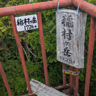 山頂到着しました～🤣！標高は多分1726ｍが正しいかと。