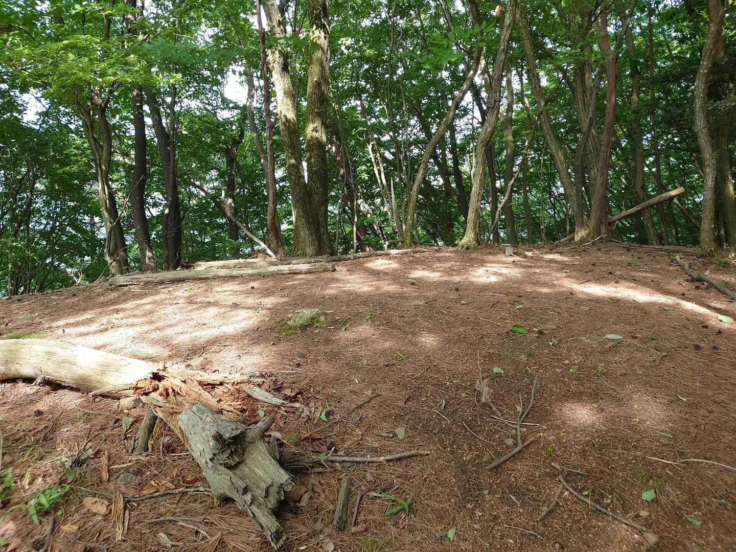 でも、岩菅山の山頂には特になにもなく。