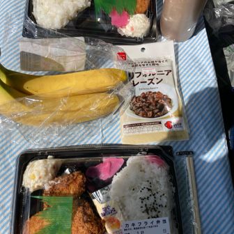 本日のランチ「かきフライ弁当」
あっ、ハイボール忘れてきたー