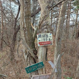 珊瑚岳登頂成功🤗