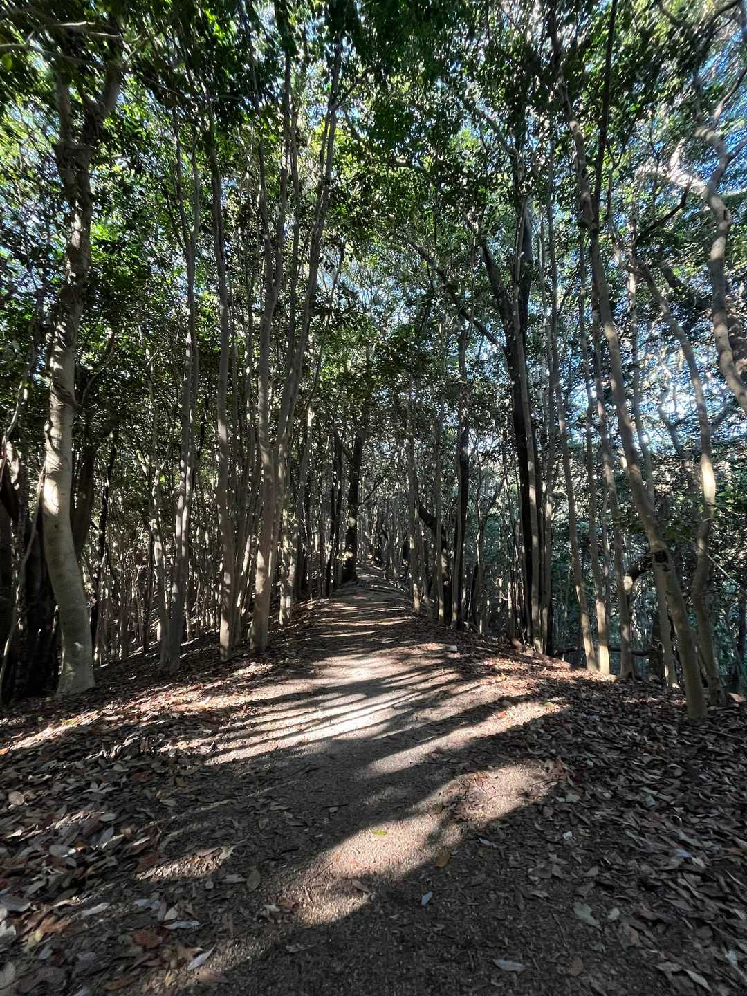 調子に乗って私も走ってみたけど
足が上がらない😱🏃🏼‍♀️