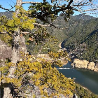 奥の方は水増えて来て少し安心