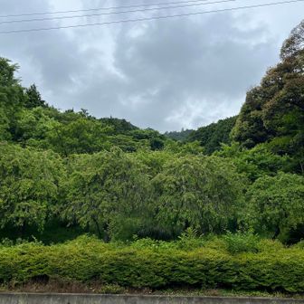 心地よい多度行きでした