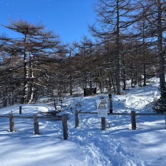 三連休はもともと別の予定が入っていたが急に吹っ飛んだ。そのため山へ行くことに🏔️

Windyやヤマテンを漁りまくり、意外にも長野県なら月曜未明には雪がやみ、晴れそうなことに気がつく😁
今度こそ前泊して木曽駒ヶ岳、のつもりが、今回の雪は降雪30センチぐらいいきそう。そして積雪量はすでに2メートルを超えている。
表層雪崩がおきます、と言わんばかりのコンディション😱

それに、今回もソロ山行ゆえ、万が一巻き込まれたときの助かる可能性も低くなる。
1/14〜2/8のロープウェイ点検前の最後のチャンスなのでなんとしても行きたいところだったが、
避けられるリスクは排除する、という自分の山行ポリシーに逆らうことはできなかった🥹

焼岳南峰、日光白根山など、地形図と睨めっこをしつつも、ほかの候補も木曽駒ヶ岳と同様の判断に至った結果、樹林帯メインの山へ切り替えることに。
結果、2年連続となるがガトーショコラをチョイス。