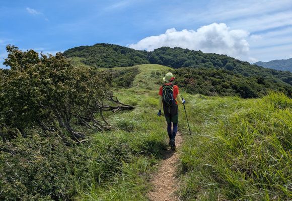三十三間山（福井・滋賀・842m）| 登山ルート・天気 | YAMAP / ヤマップ