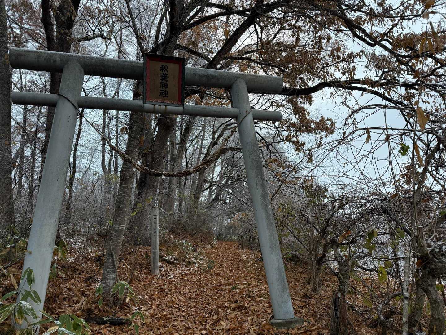 登山口まで来ました。鳥居をくぐります⛩️