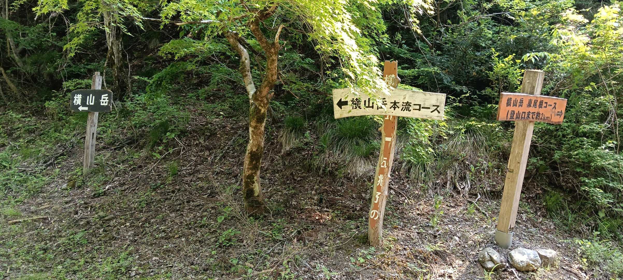 横山岳山頂を目指して、白谷本流コースを登ります。