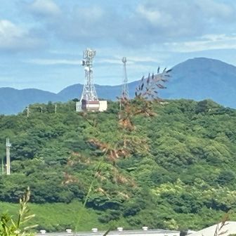 牧山