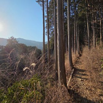 鋸尾根を降りてだいぶ日が傾いてきました

鋸尾根の下りでは久々に
三点確保トレーニングやりました

足場の岩が崩れる😨とかマジヤバかった