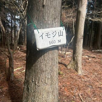 せっかくなのでピークハンと