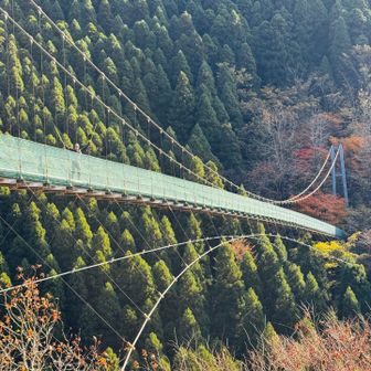 おぉ〜い\( ˆoˆ )/