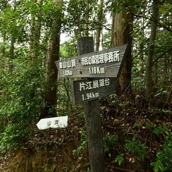 Aコースと合流