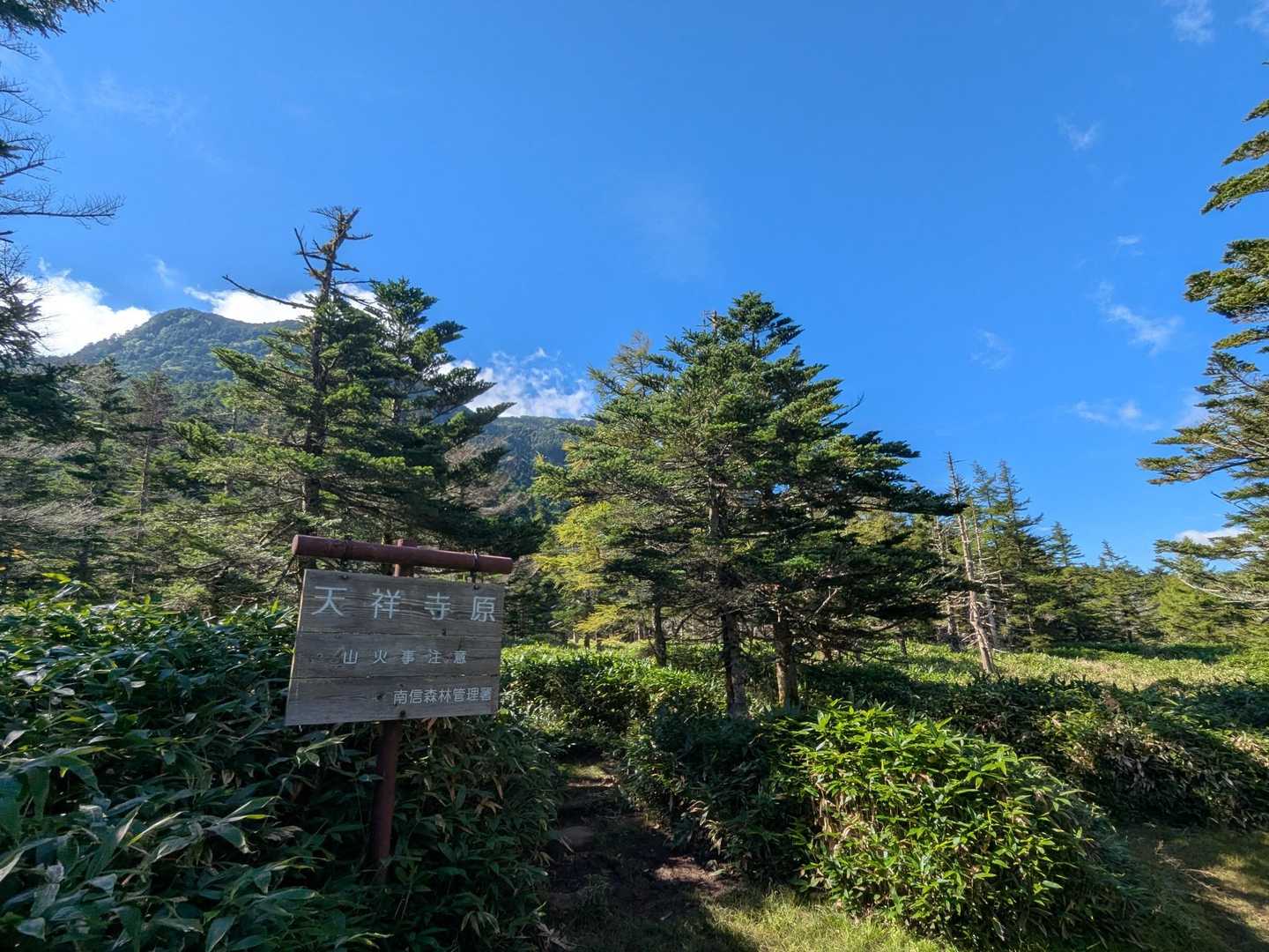 大河原峠-双子山-大岳-北横岳 周回コースの写真