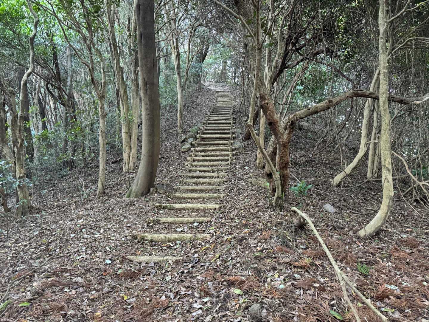 琴石山登山口-修験ルート登り口-琴石山登り口-琴石山-三ヶ 縦走コースの写真