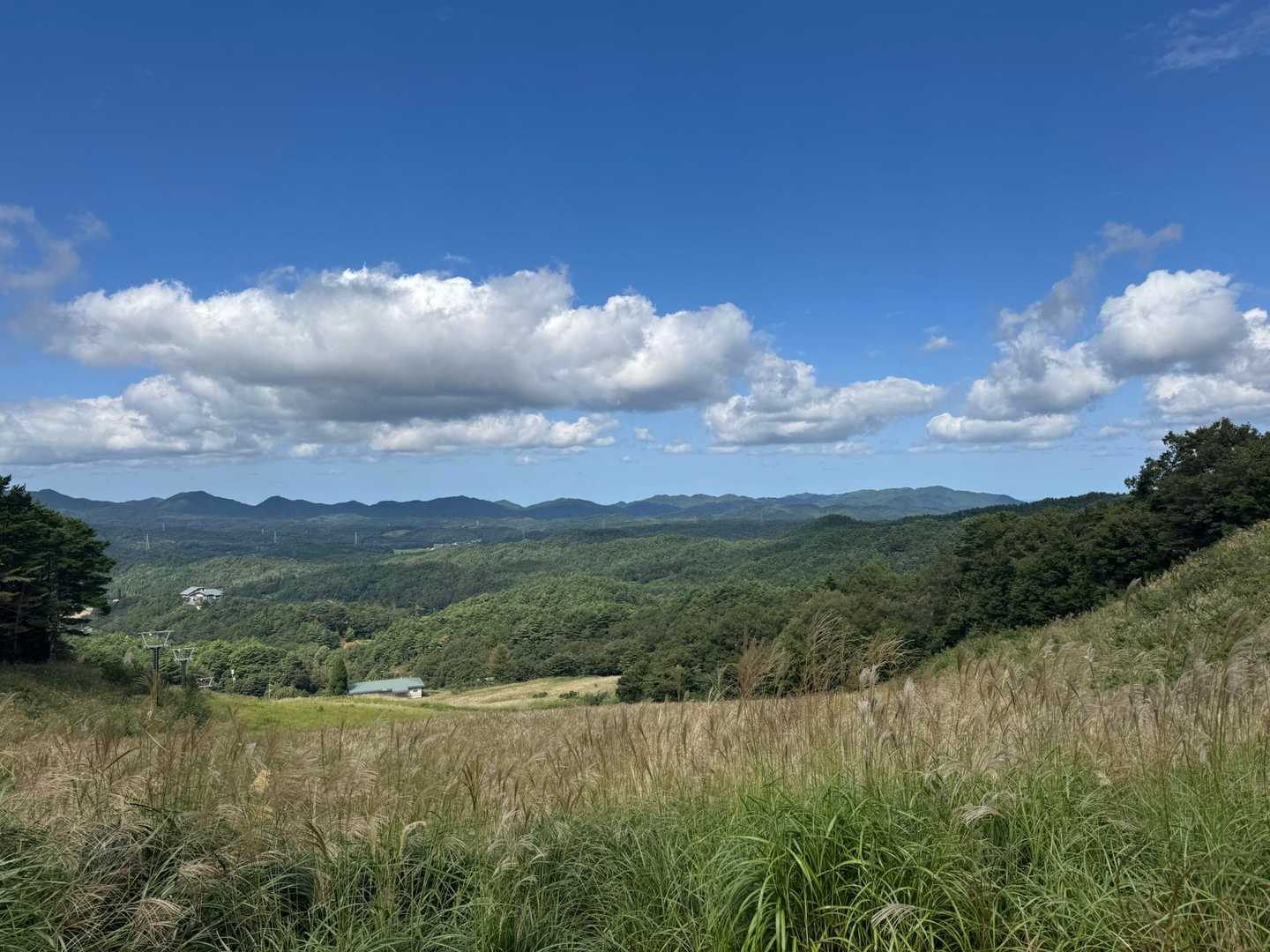 スキー場ゲレンデを登って行きます
『若杉山』では曇りだったのに、今になって晴れ☀