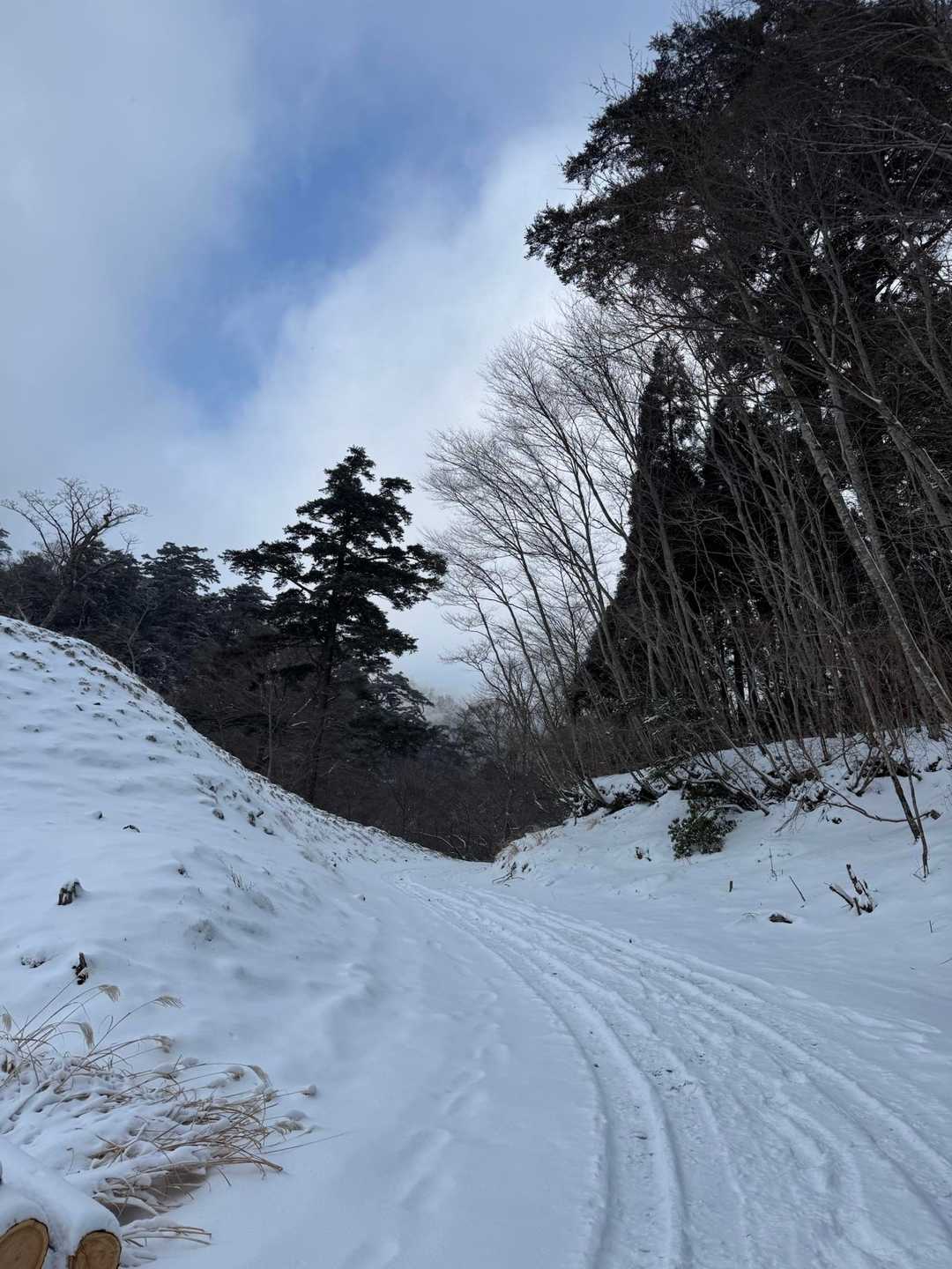 少し晴れ間が見えてきた🌥️