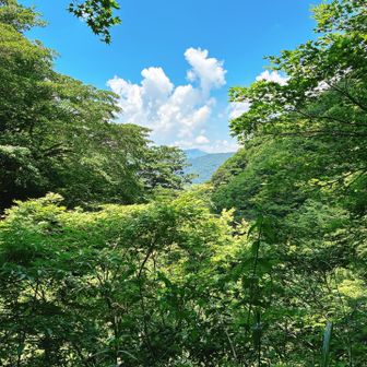 雲がもくもくと、大好き