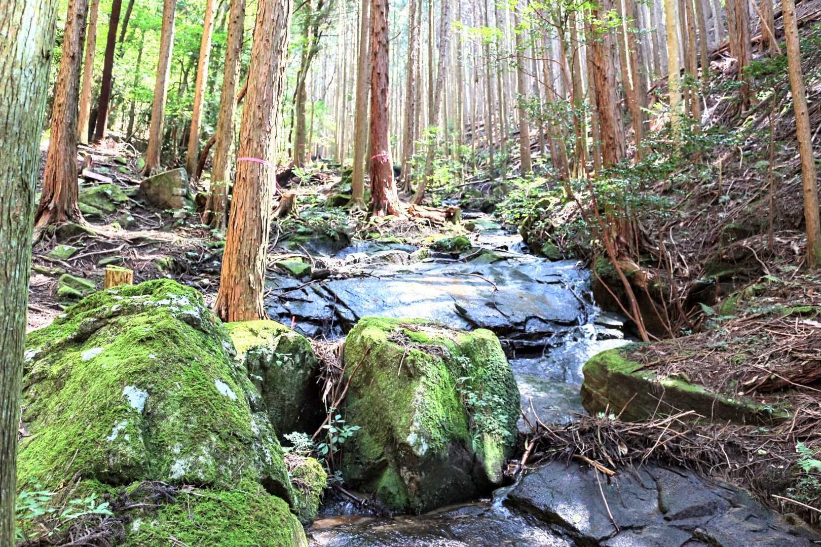 　滑滝状の小滝。登山道は画面の左側へと続いている。
　…道の傾斜はこの先からやや急となる。