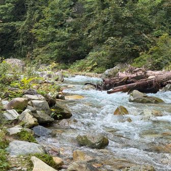 水量もあり迫力がある。
流木？が大きすぎます。