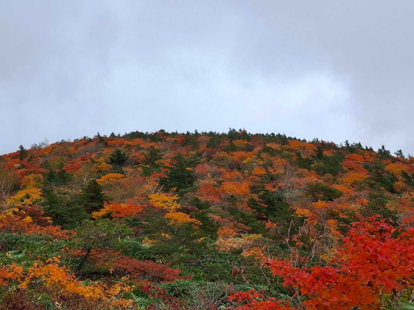 あだたら山ロープウエイ山頂駅-安達太良山-矢筈森 往復コースの写真