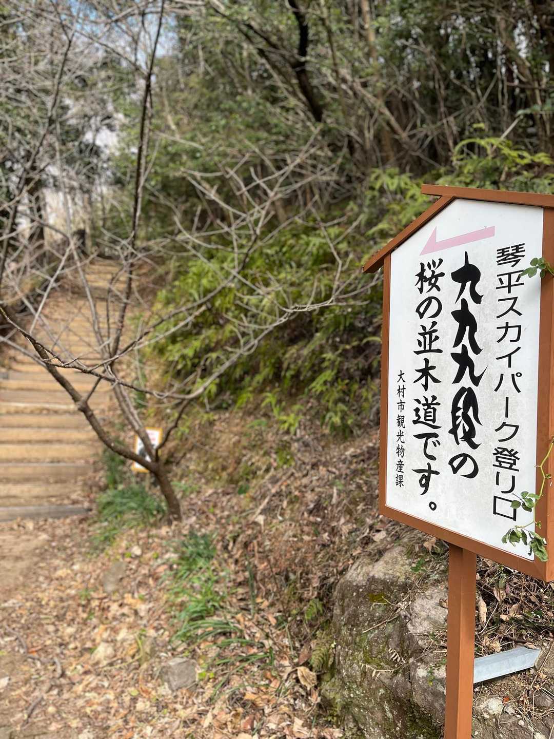 予定変更してこちらのお山