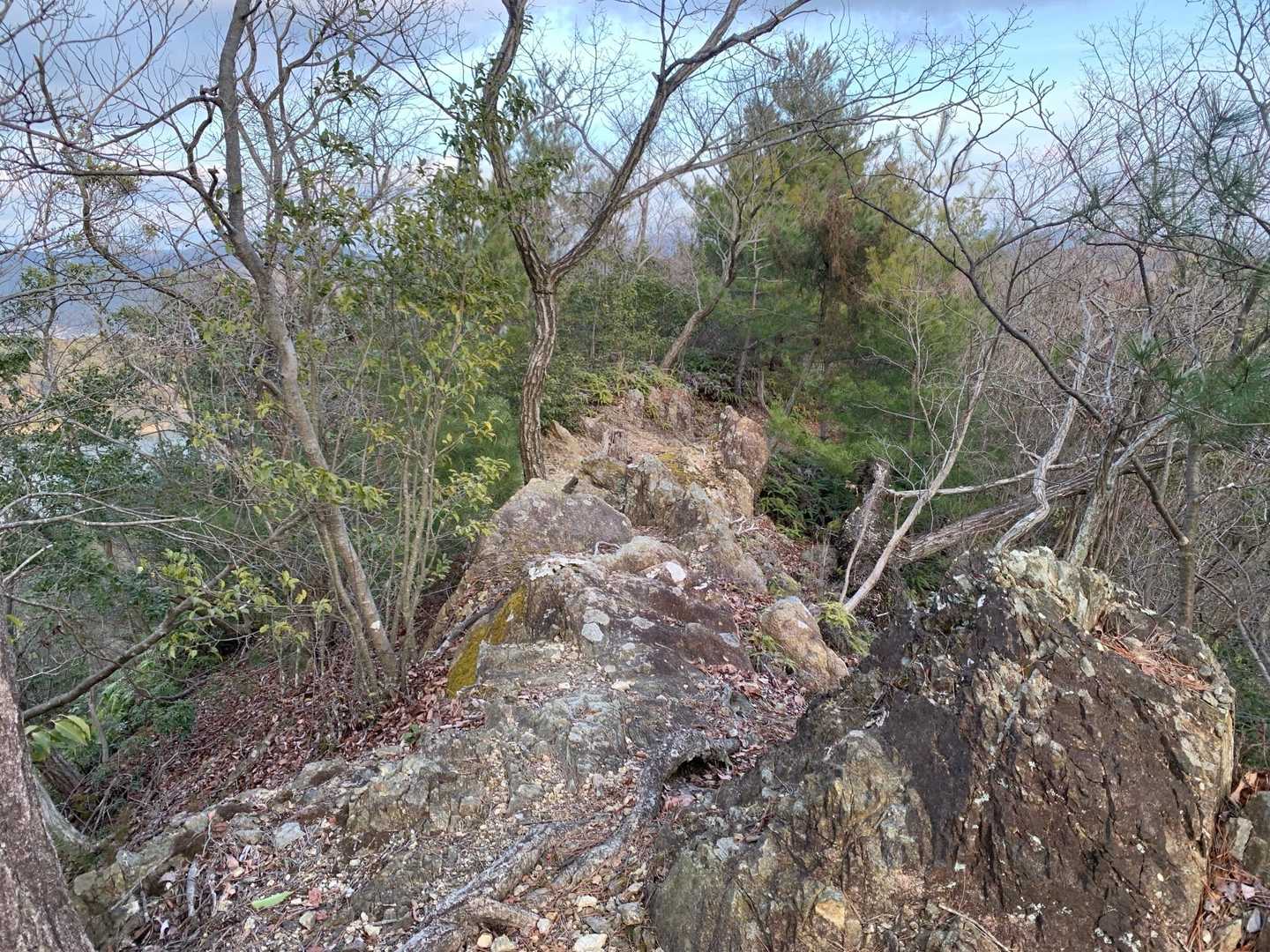 ちょっとだけ岩岩稜線あり🪨
