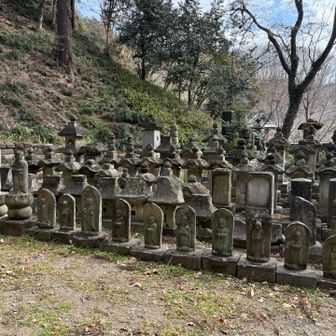 崇台山 近くに家臣団の墓