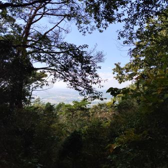 山頂の景色　ベンチ1つあり