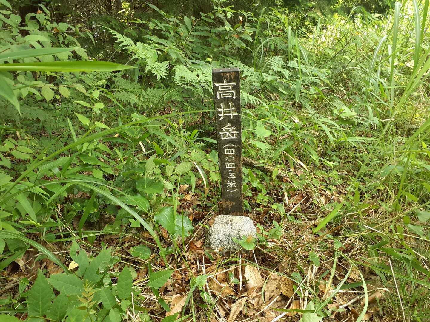 高井岳の写真