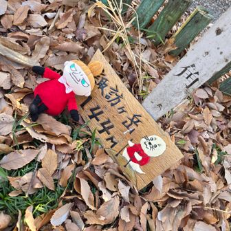 五座目の諏訪ヶ岳