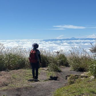 雲海と富士山がよく見えます👀