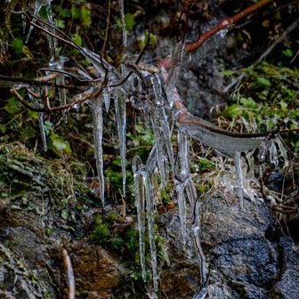 こちらにも超ミニつらら
