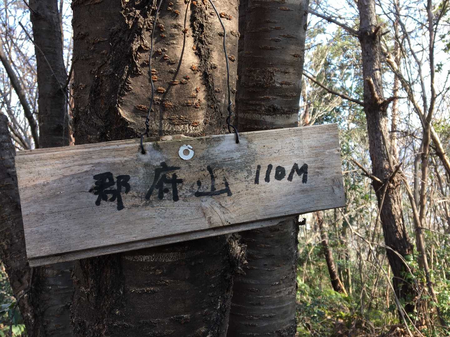 こっちにも山頂看板♪
ピストンで戻ります😊