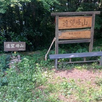 遠望峰山 山頂