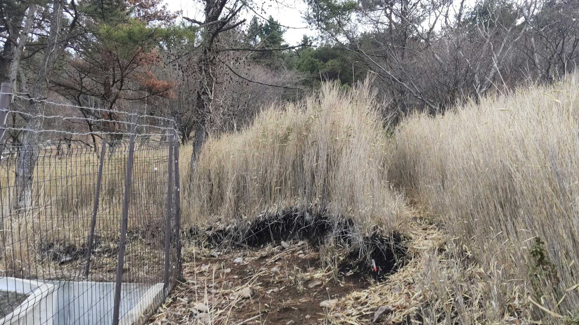 ここは、右の藪に入ります
藪漕ぎに見えますが、しっかり草が刈られており、歩きやすいです

登山道を整備して下さった方に大感謝です🙂‍↕️