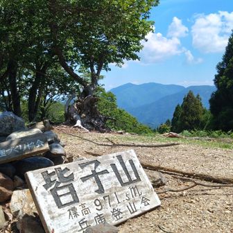 蓬莱山が見えてる。