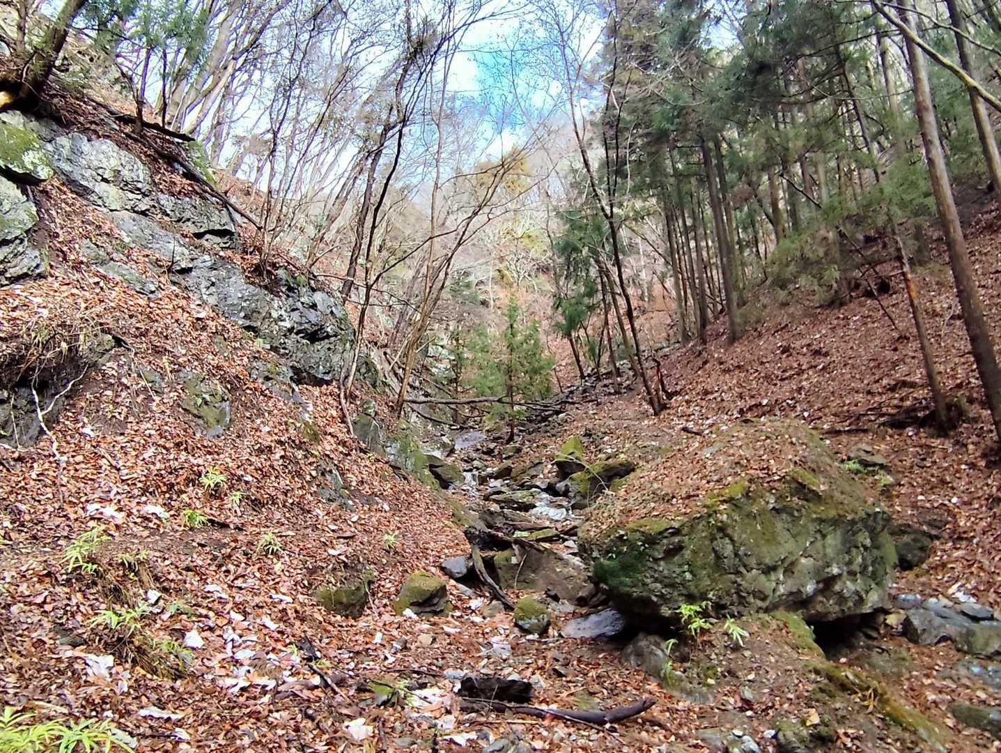 登山道は不明瞭な所が多いです
沢沿いを歩くのですが右へ行ったり左へ行ったりします　落ち葉🍂も登山道を覆っているので更にわかりません😑