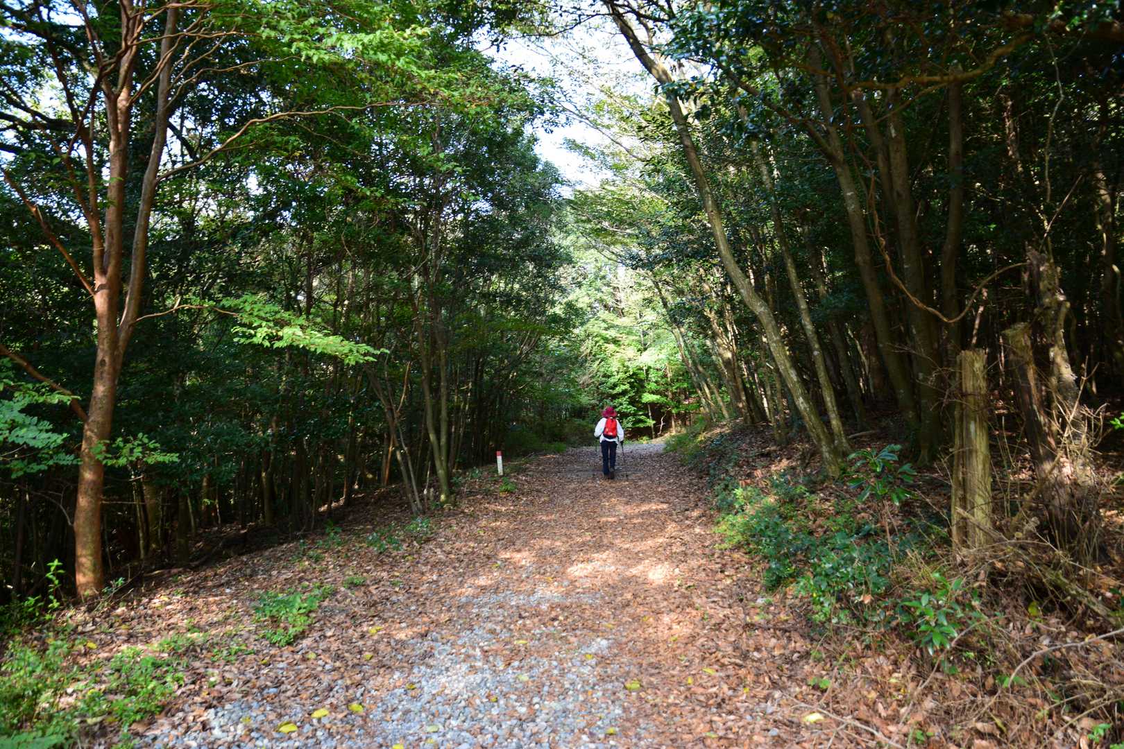 烏帽子岳 往復コースの写真