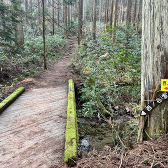 という事で納得いかず
即決！意見一致
ピストン下山
気を取り直して西ノ谷ルートから
再スタート🥾
今度こそ参ろう😅