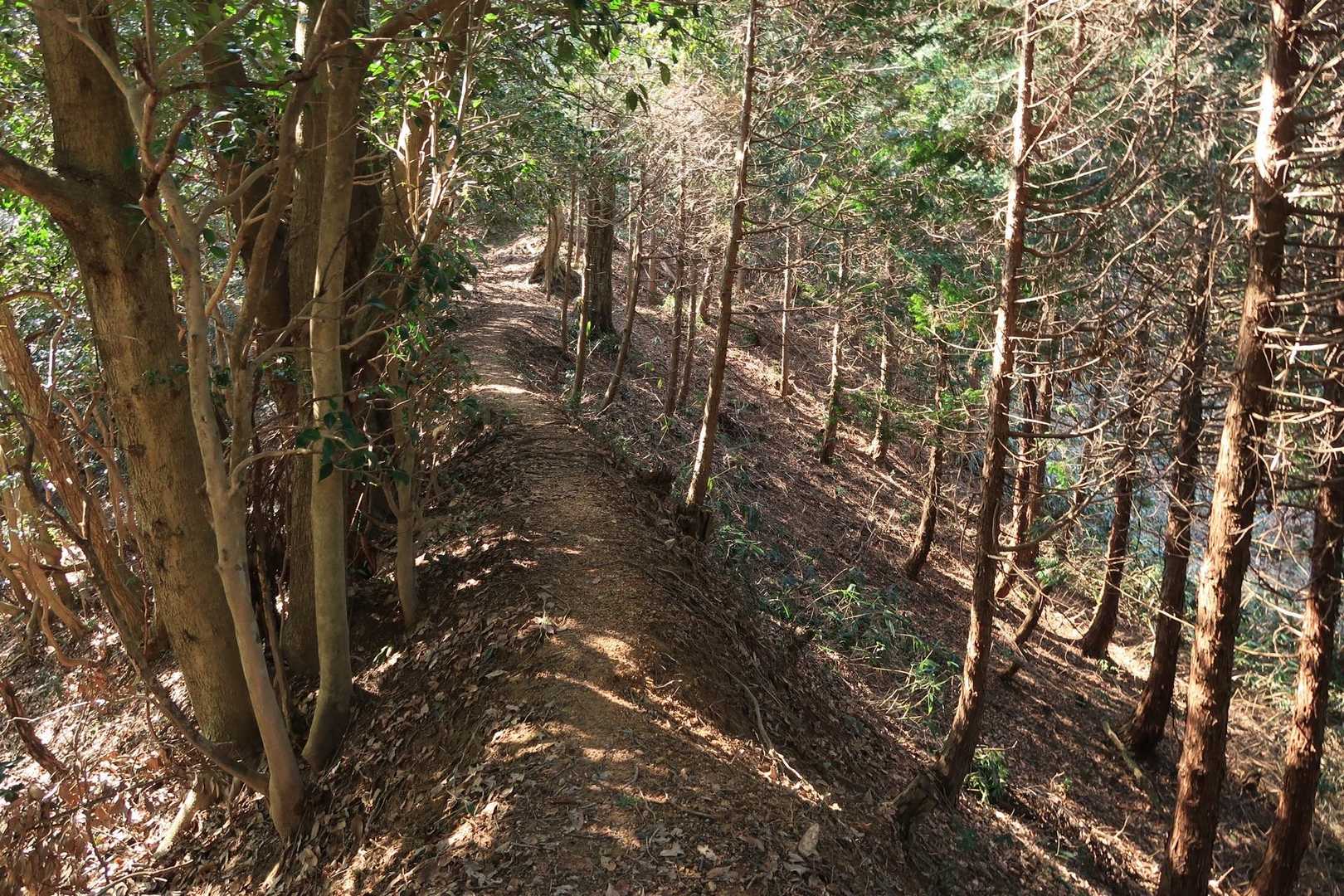 痩せ尾根を通り
