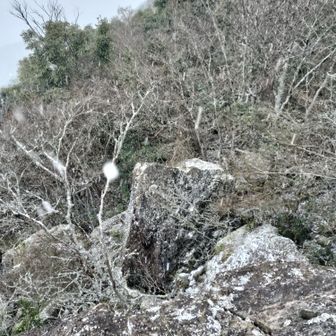 蛇紋原。
開けたところに出ると、かなり雪が降っているのがわかります。