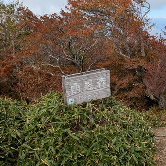 キビシイ道だったが、何とか到着。
メジャーでない山はヤッパリ荒れてるなぁ…😅