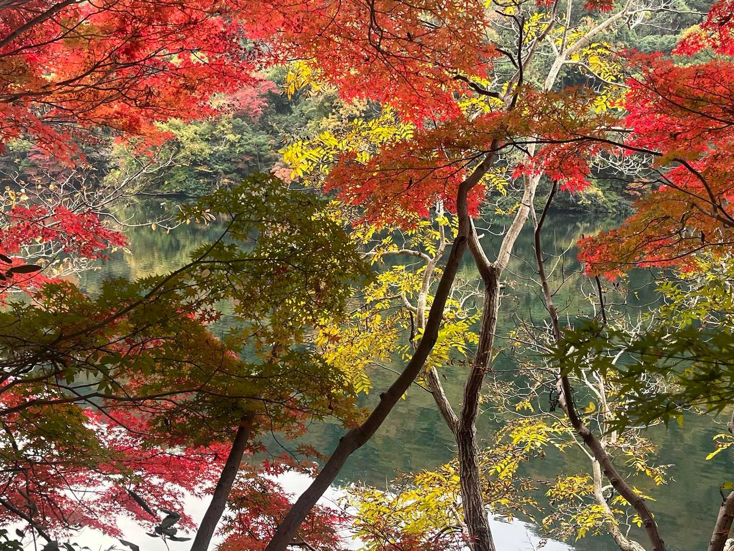 新神戸駅-滝山城跡登山口 縦走コースの写真