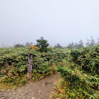 次に来た時は小岳に行きたいな（姿が見たかったなぁ）